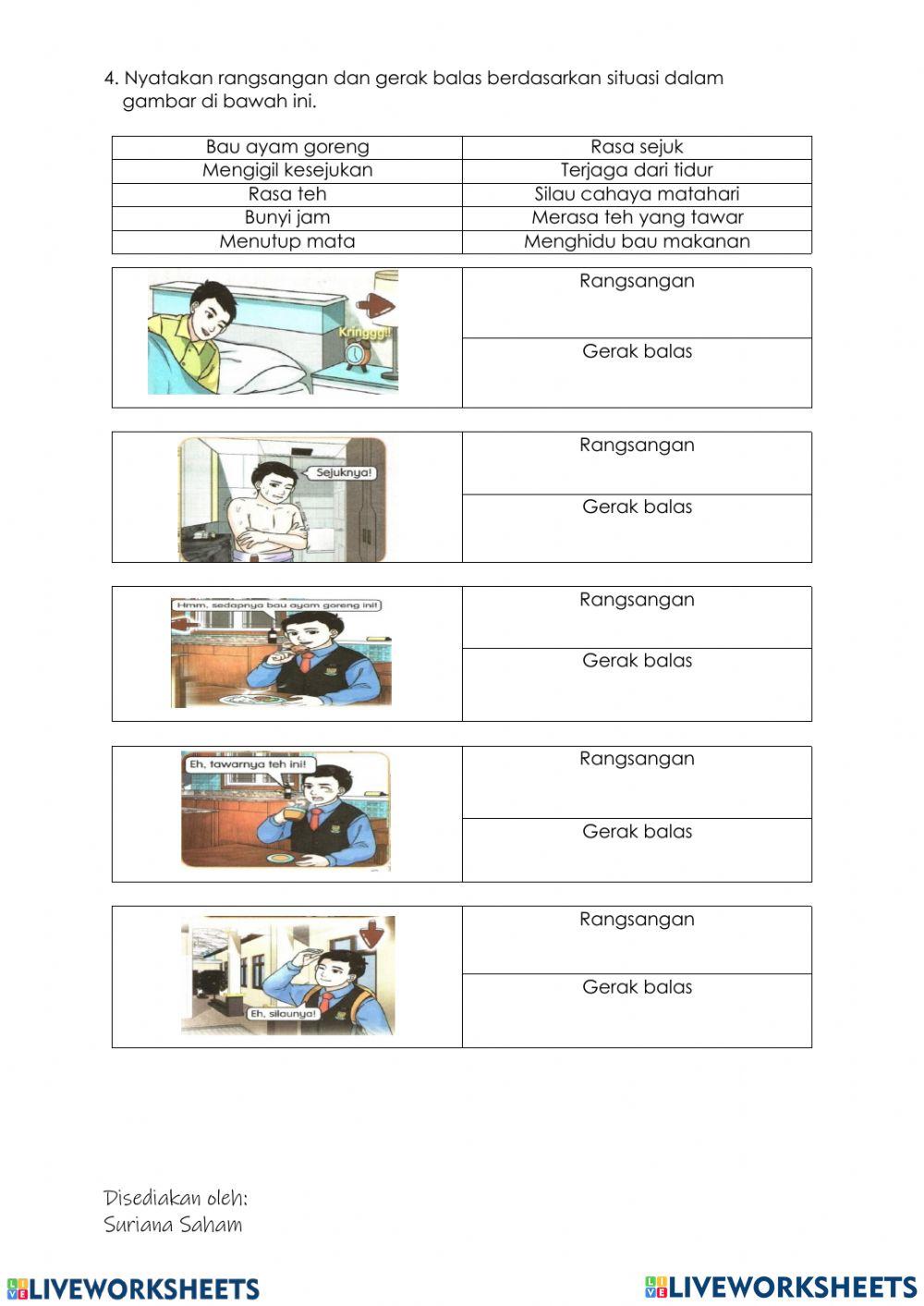 2.1 gerak balas terhadap rangsangan