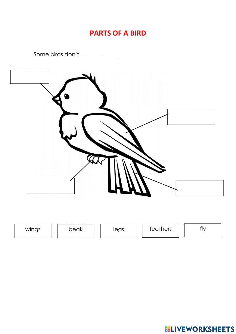 Parts of birds worksheet | Live Worksheets parts-of-birds-worksheet-live-worksheets