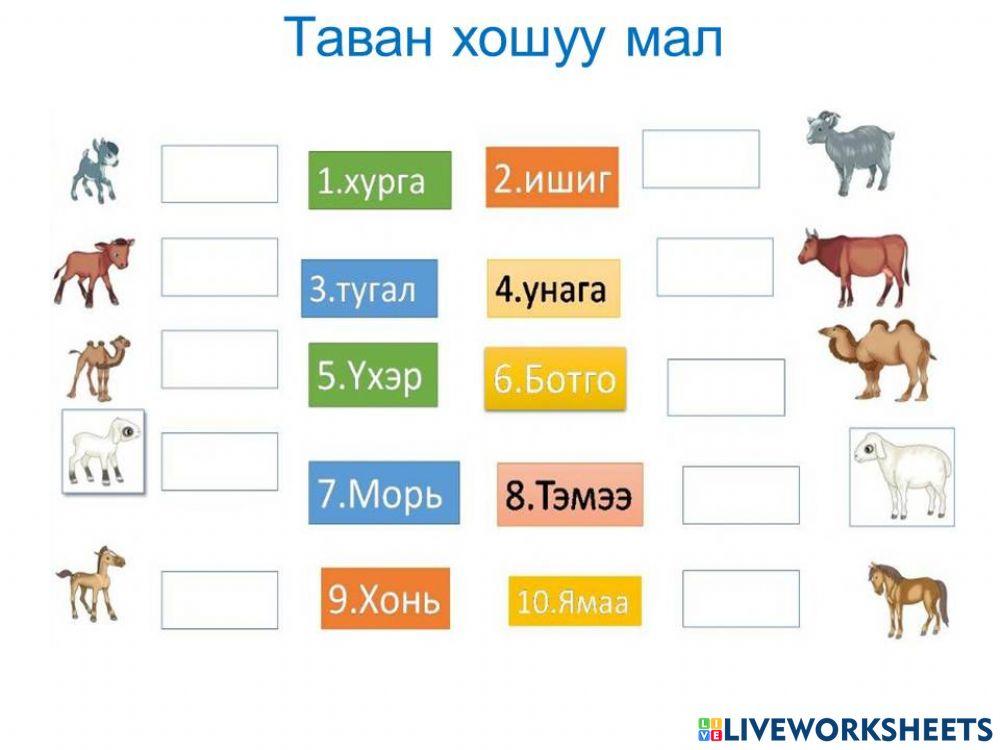4813468 | Таван хошуу мал | Ganchim | LiveWorksheets