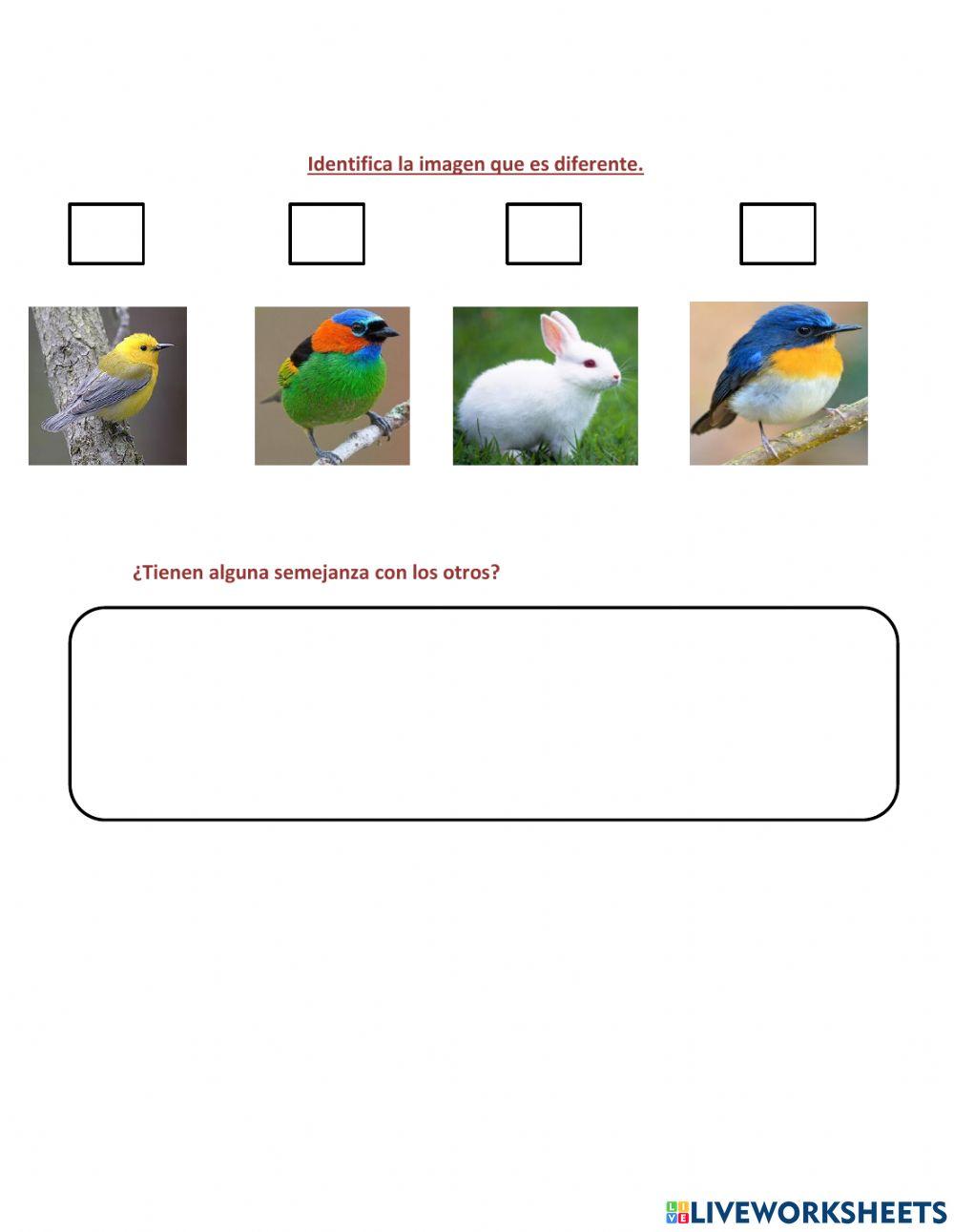 Semejanzas y diferencias