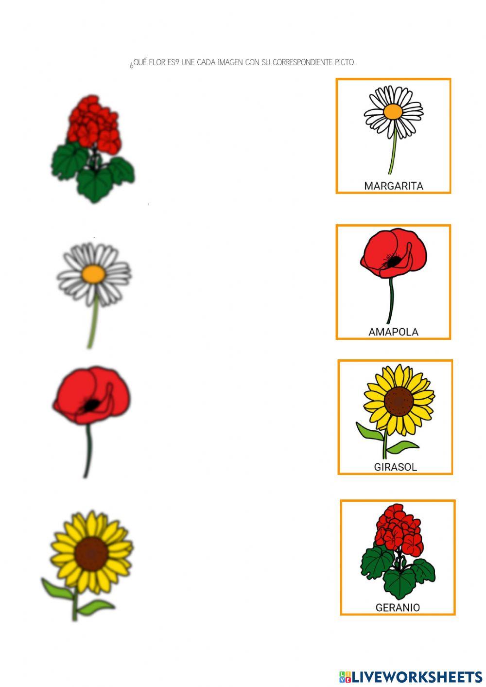 Las flores de primavera