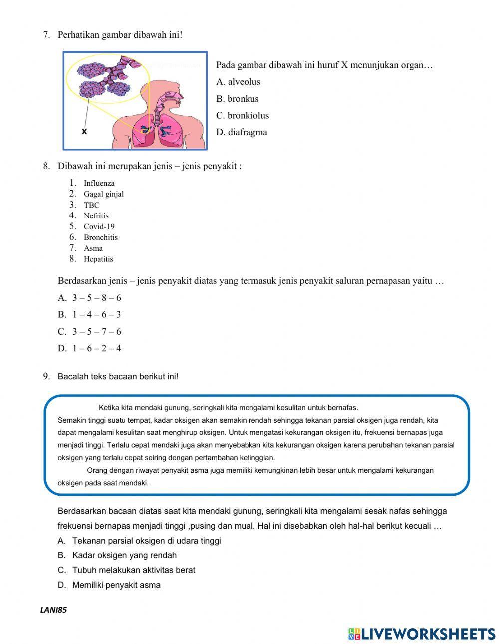 Soal uh akm ipa kelas 8