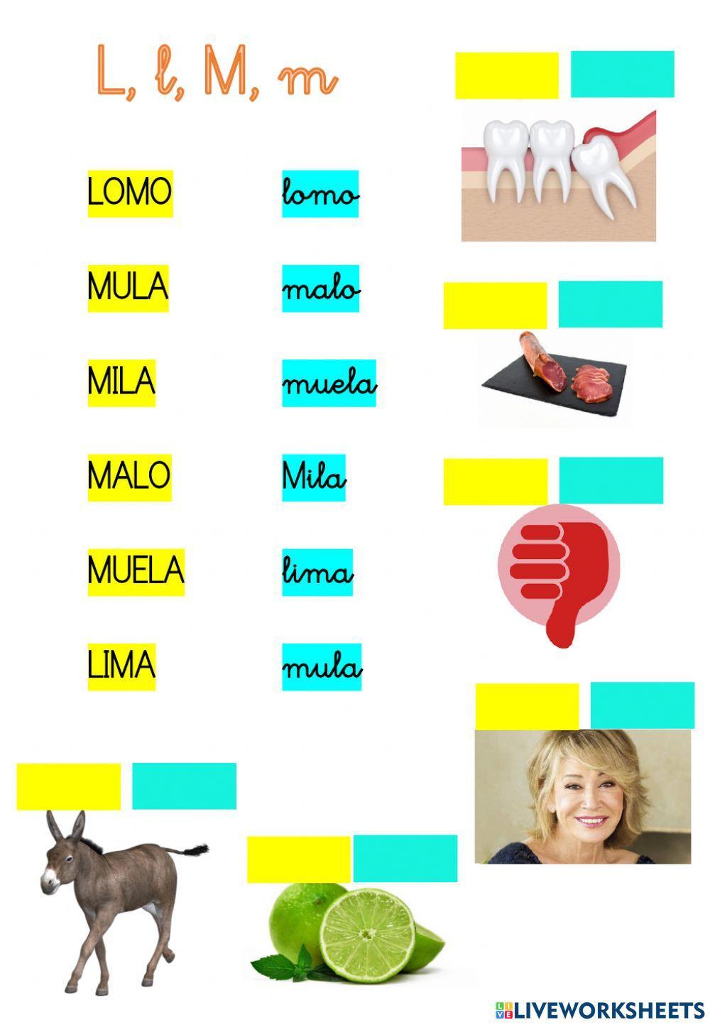 Lectura global M y L