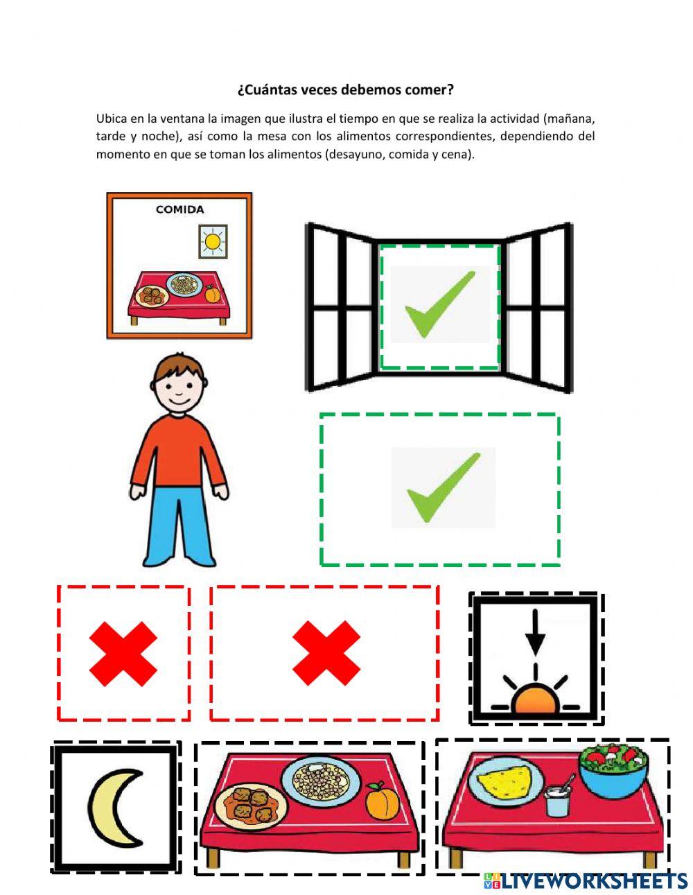 ¿Cuántas veces debemos comer?