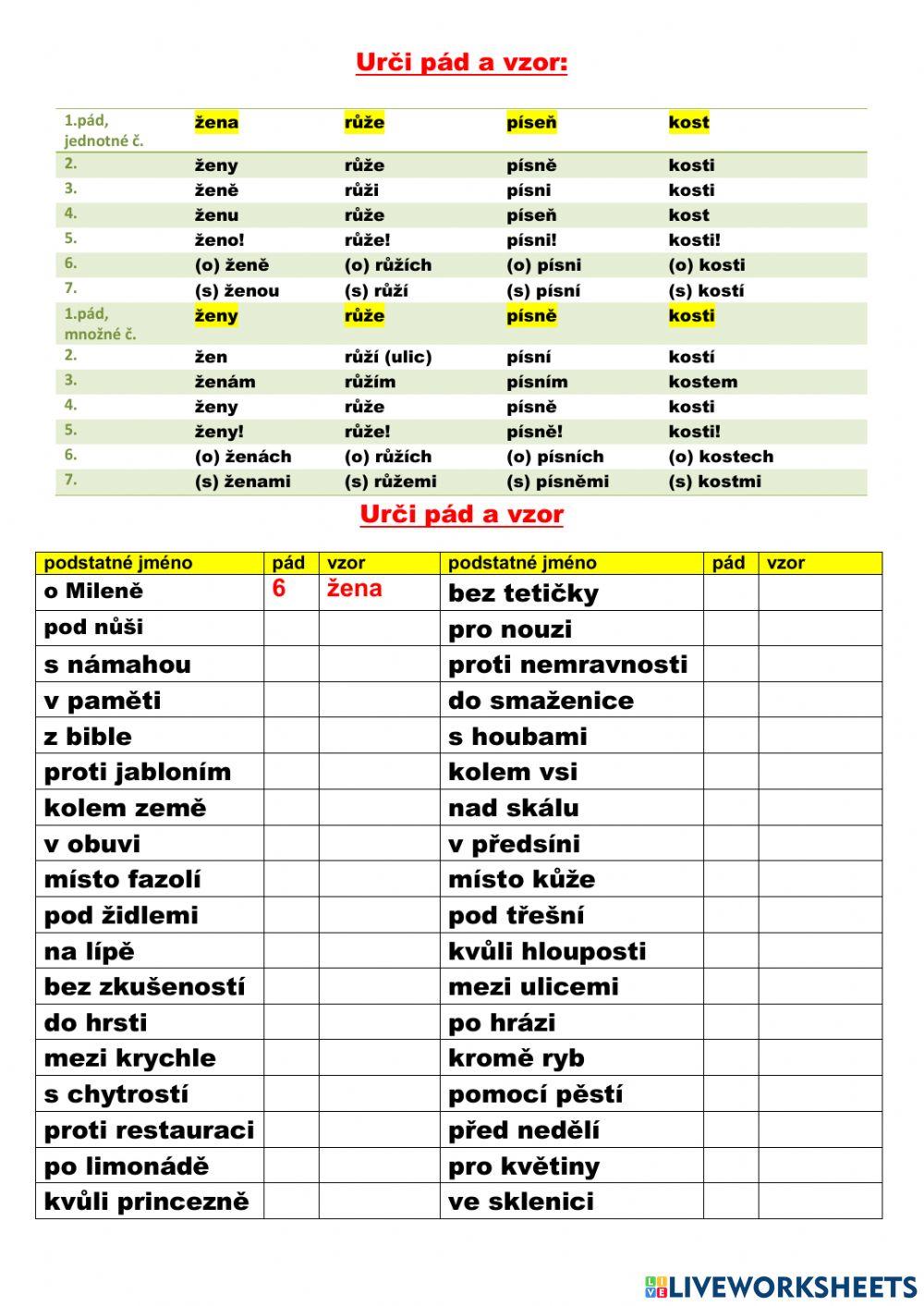 Podstatná jména -ženský rod