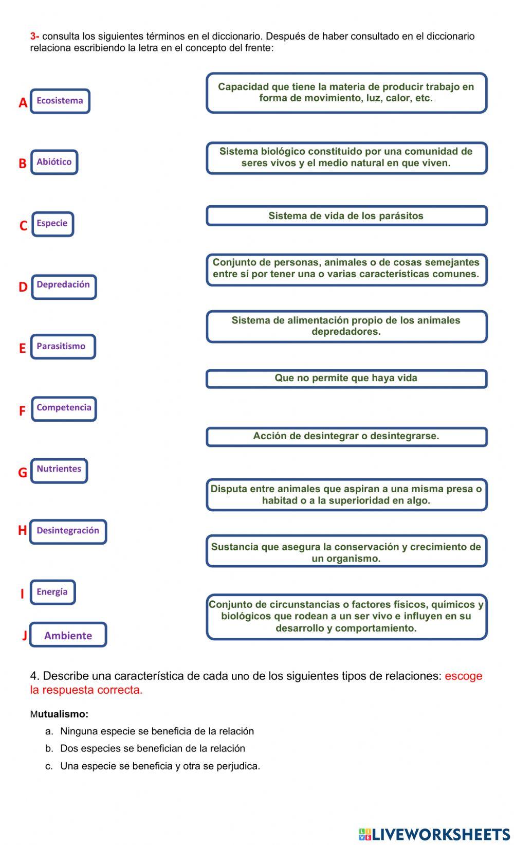 Guia 3 ciencias naturales 4º 3