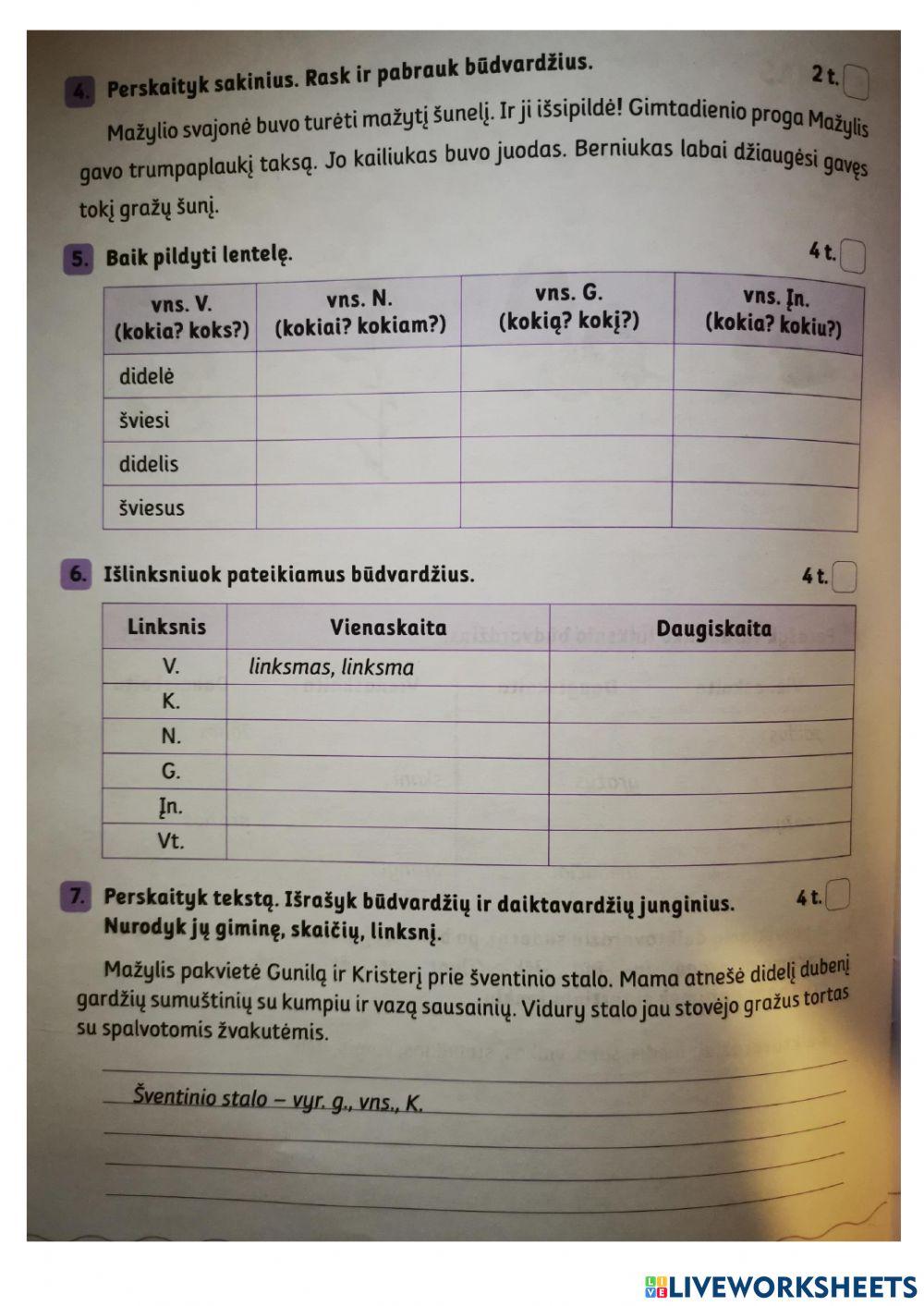 Lietuvių kalbos testas: būdvardis