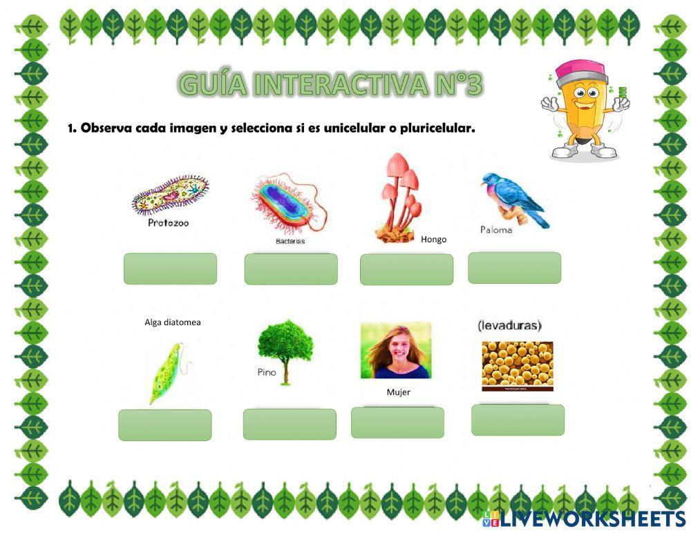 Unicelulares y pluricelulares