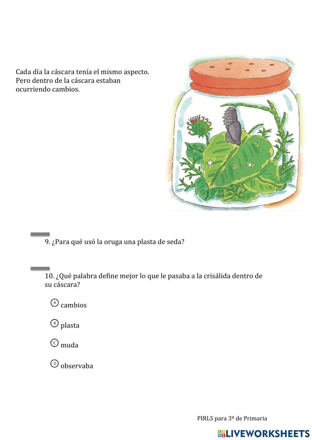 Lectura Pirls: De oruga a mariposa 04