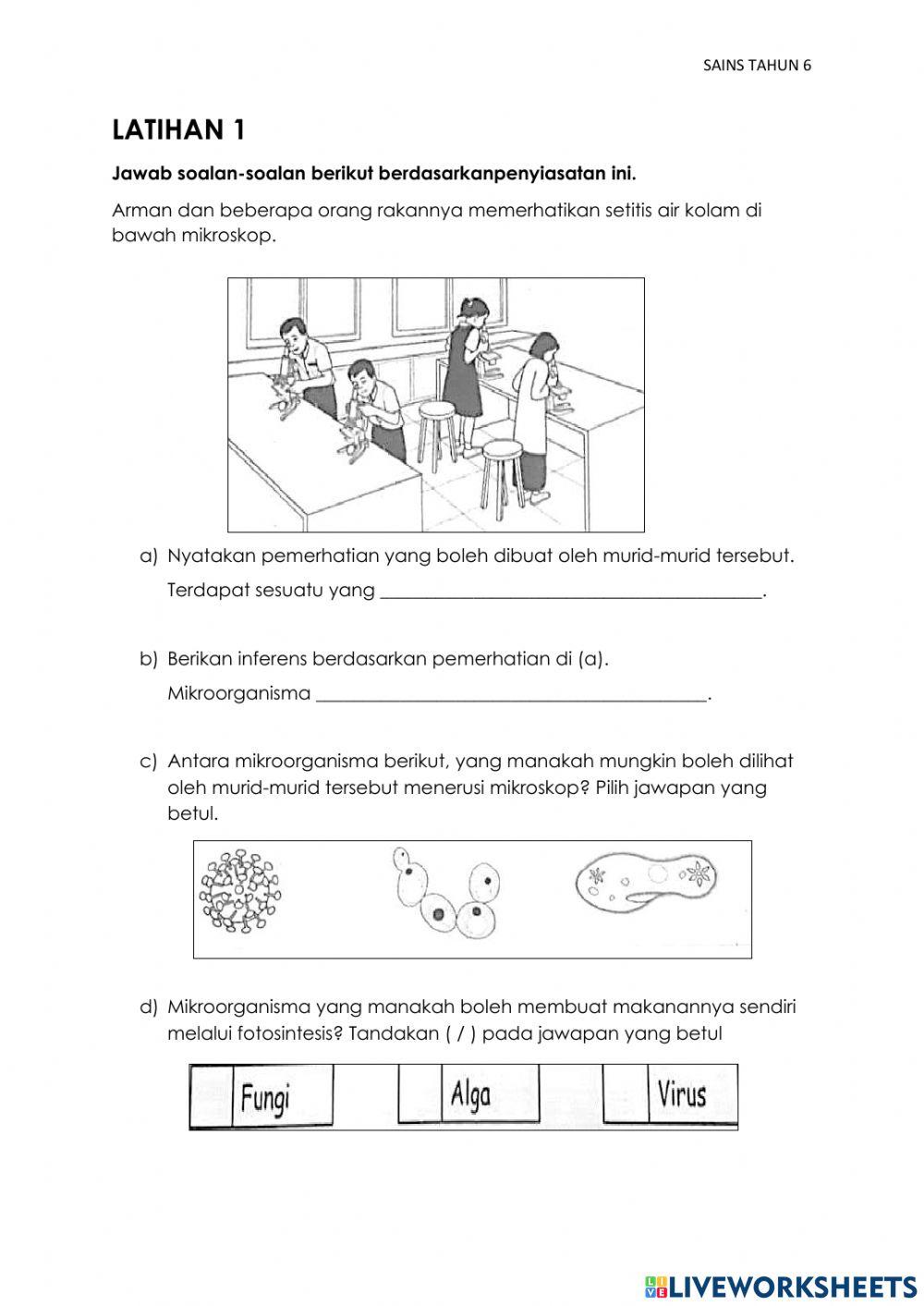 Sains Tahun 6 : Mikroorganisma
