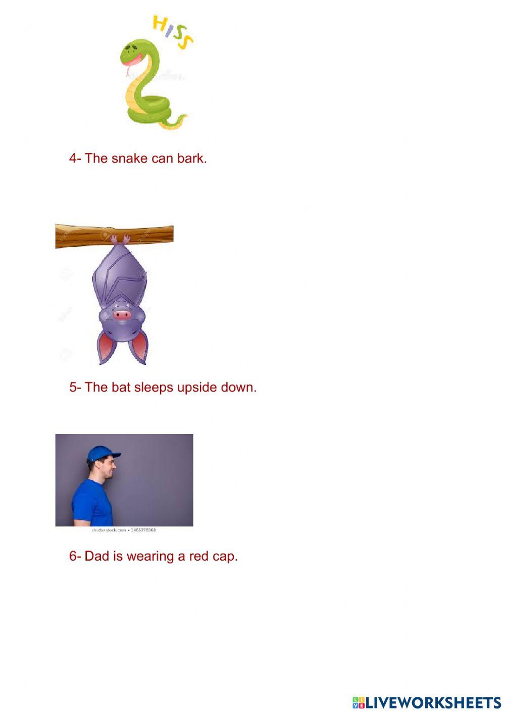 The perfect pet: true or false