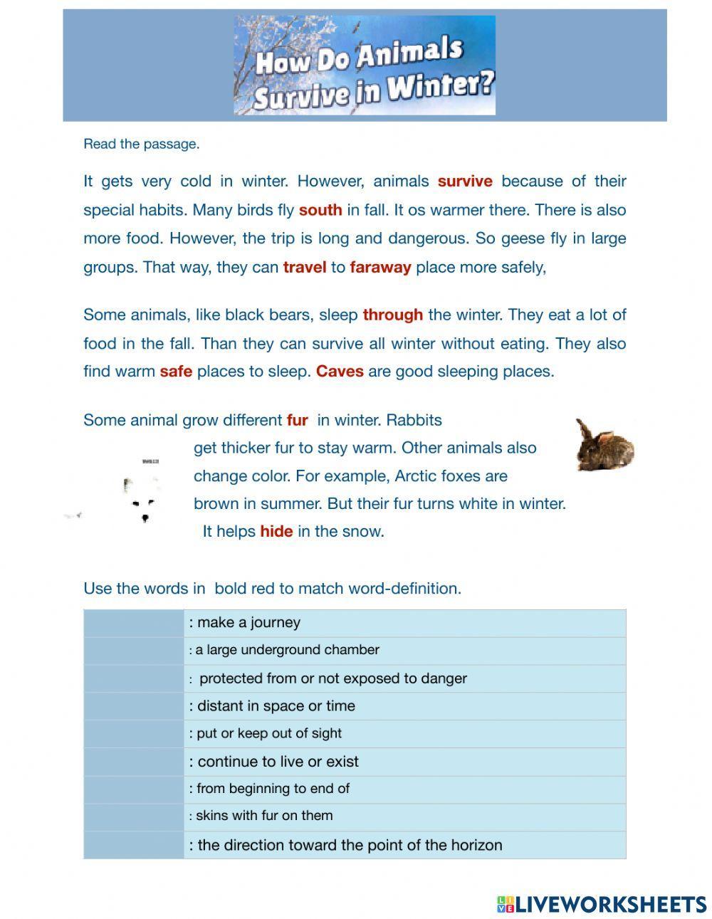How do Animals survive in winter ?
