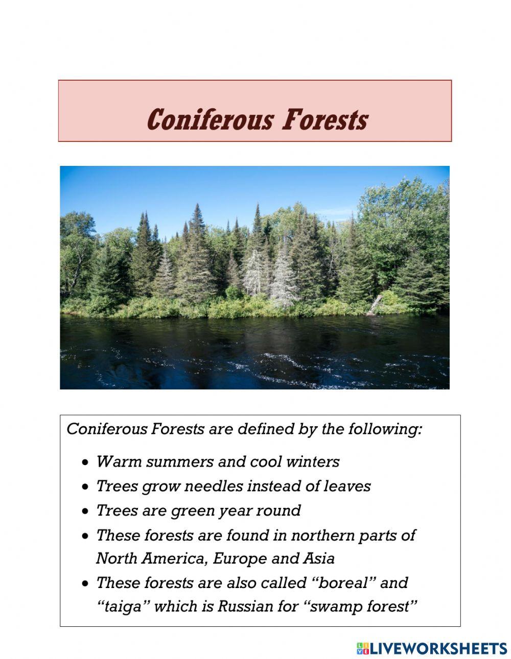 Coniferous Forests - Reading
