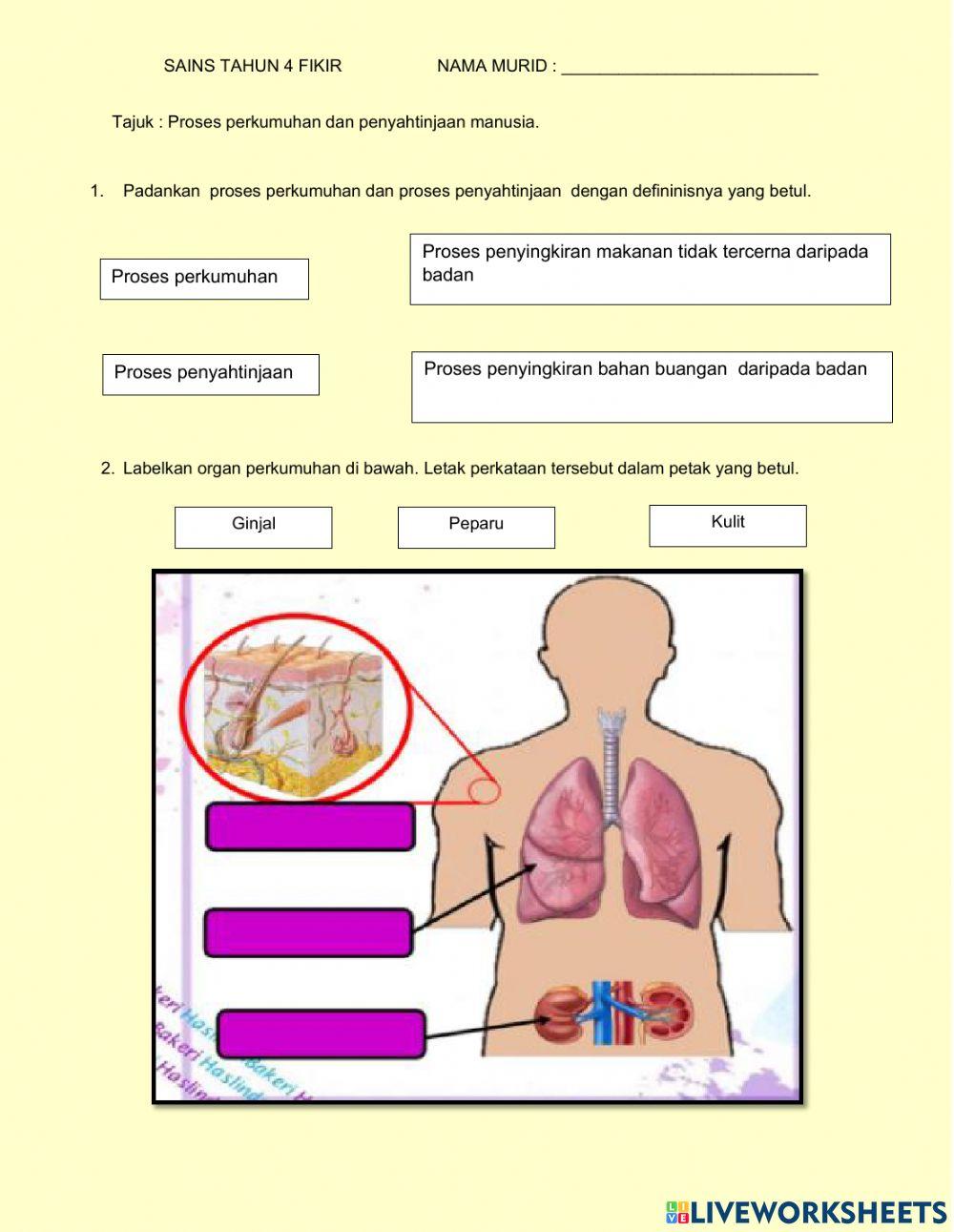 Proses perkumuhan dan penyahtinjaan