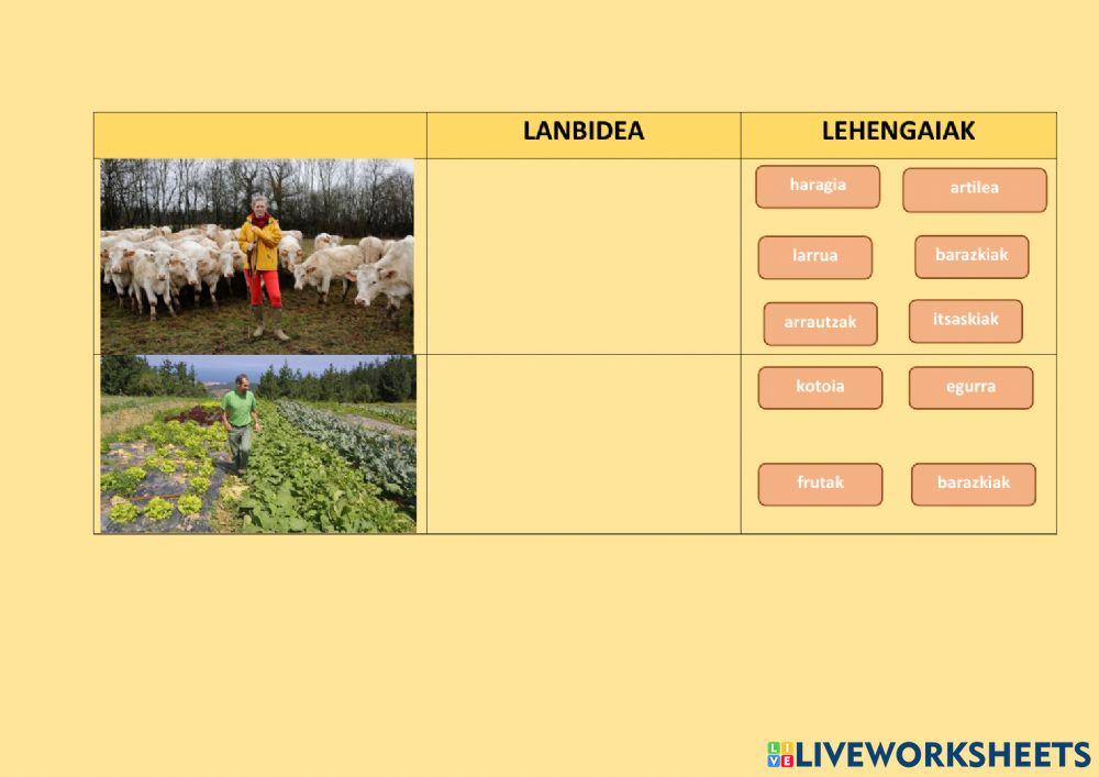 Lanbidea eta lehengaiak