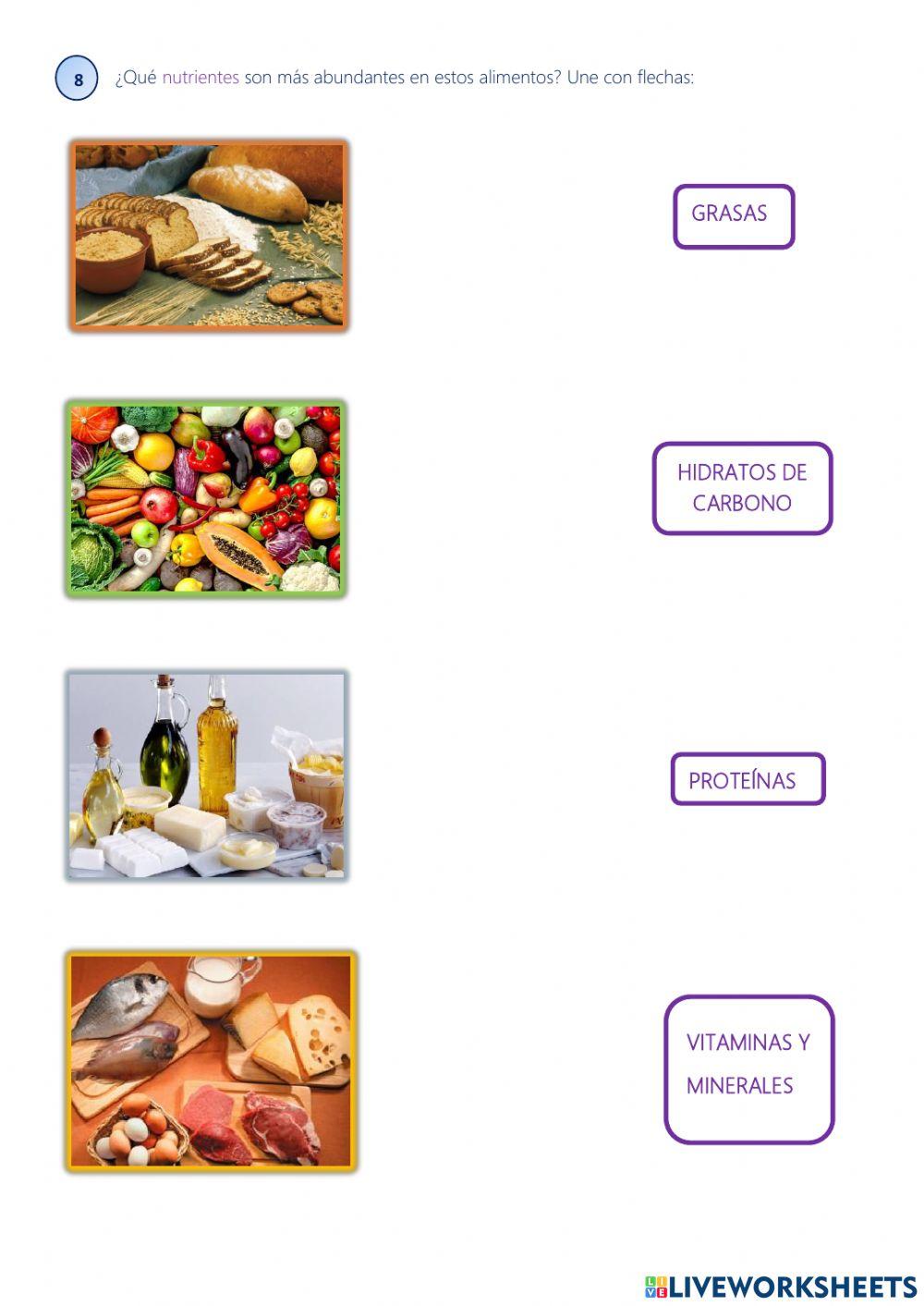 Prueba de evaluación. La nutrición humana y la dieta. 