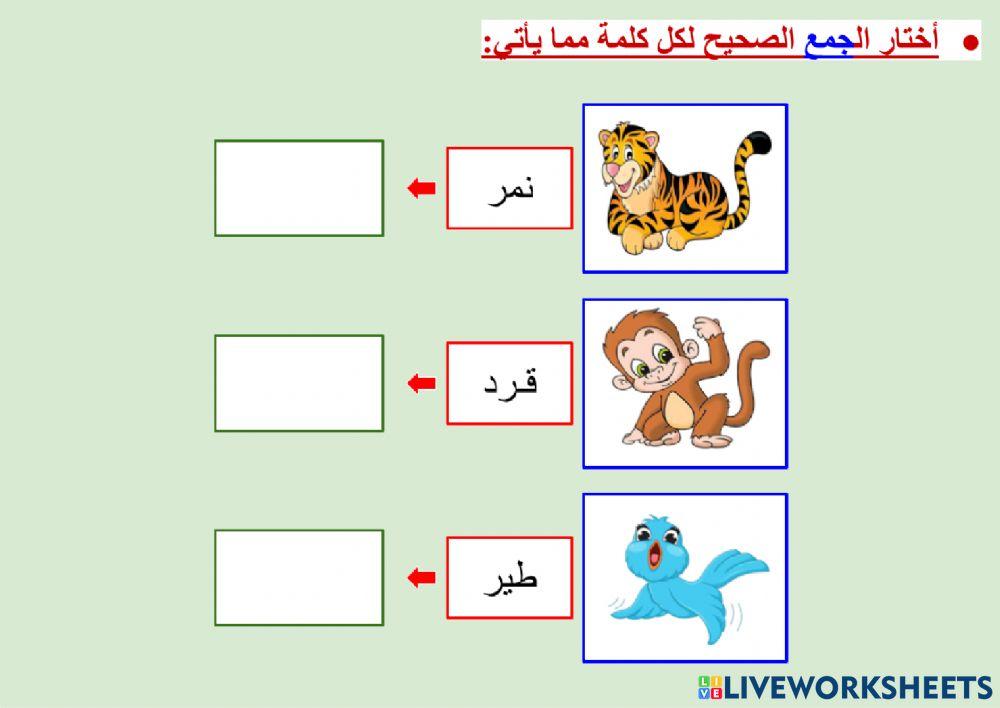 الثروة اللغوية - مراجعة على المفرد والجمع - ٢