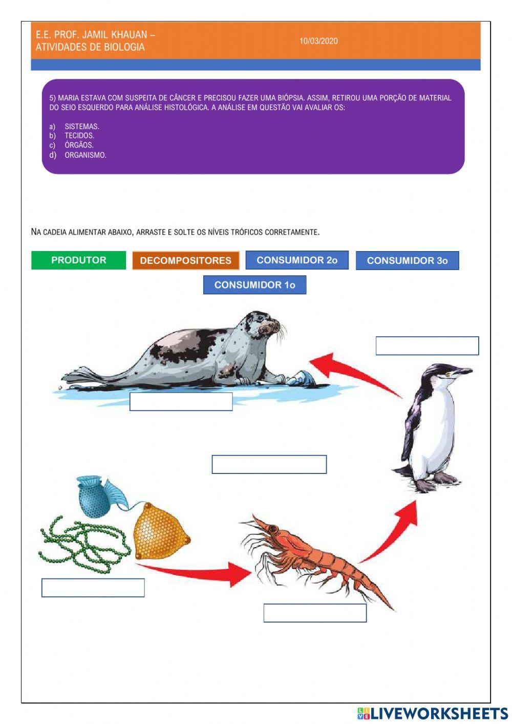 Biodiversidade e ecossistemas