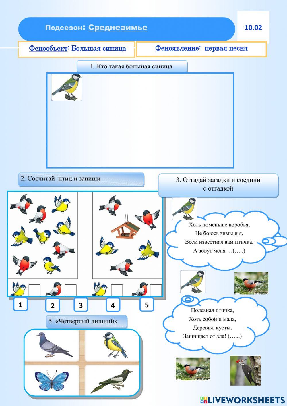 Фенология,зима, синица