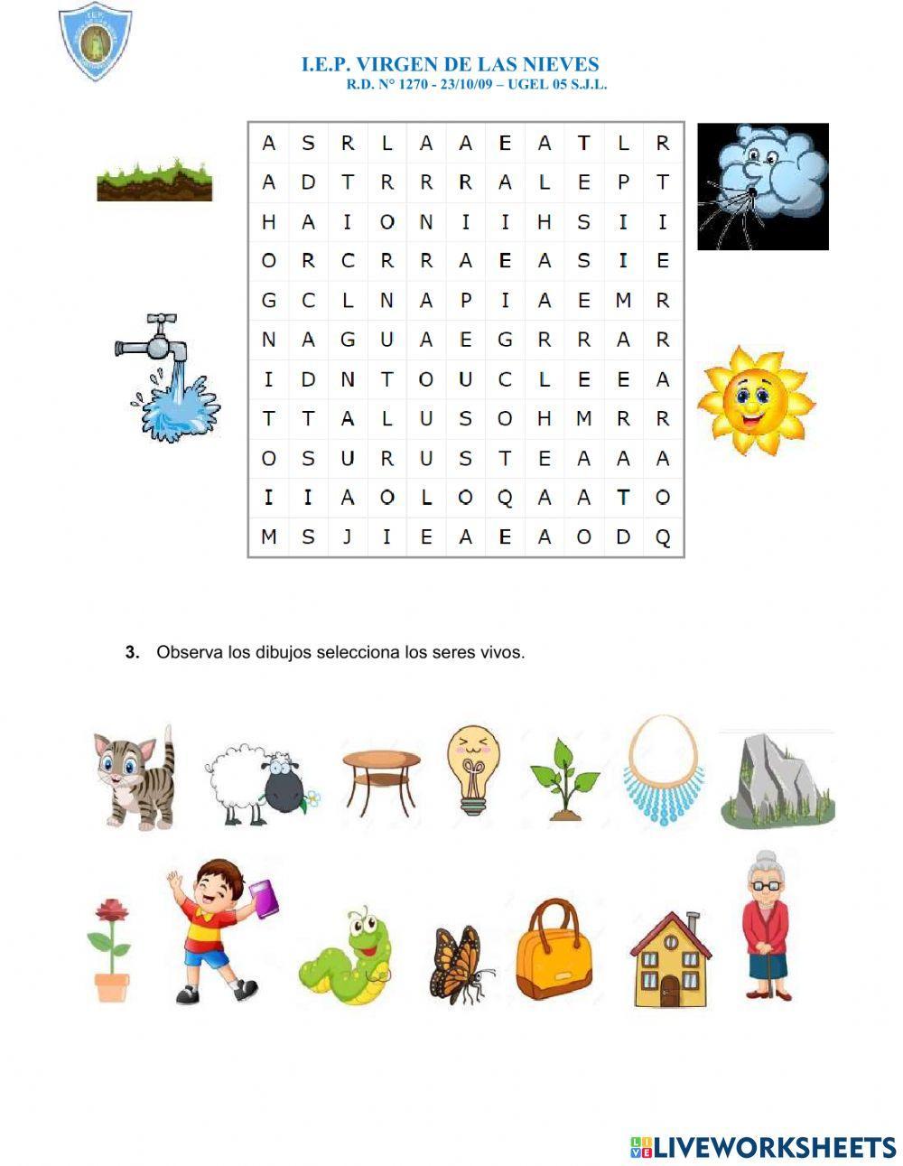 Seres vivos y no vivos