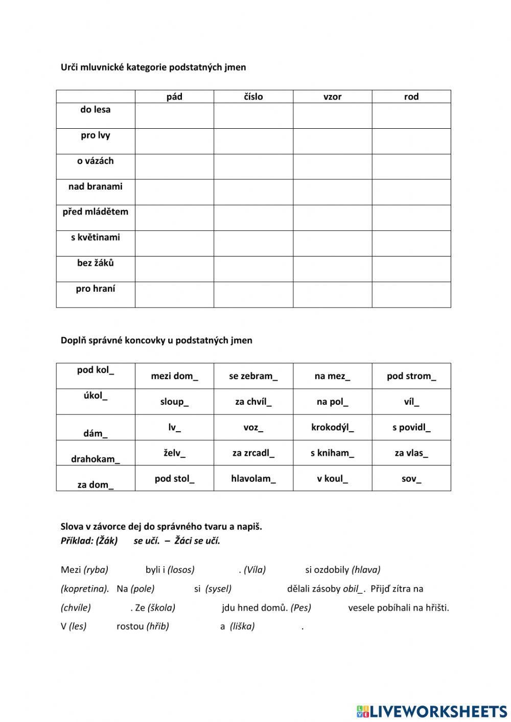 Opakování -  koncovky podstatných jmen
