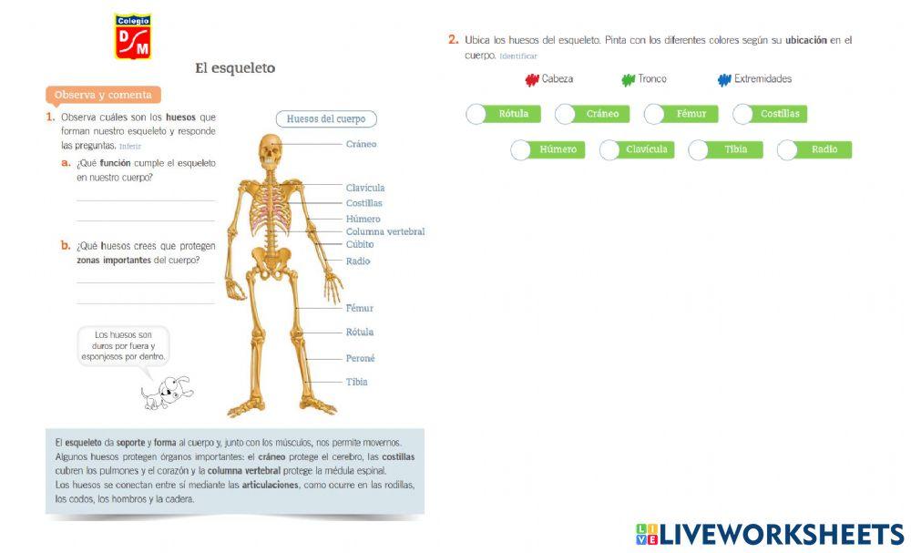 Guía Ciencias Naturales  1- Semana 08 - 12 Marzo