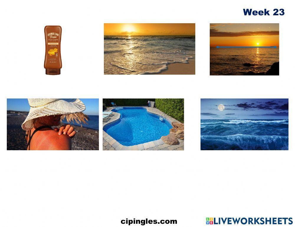 Verbs and At the Beach Week 23