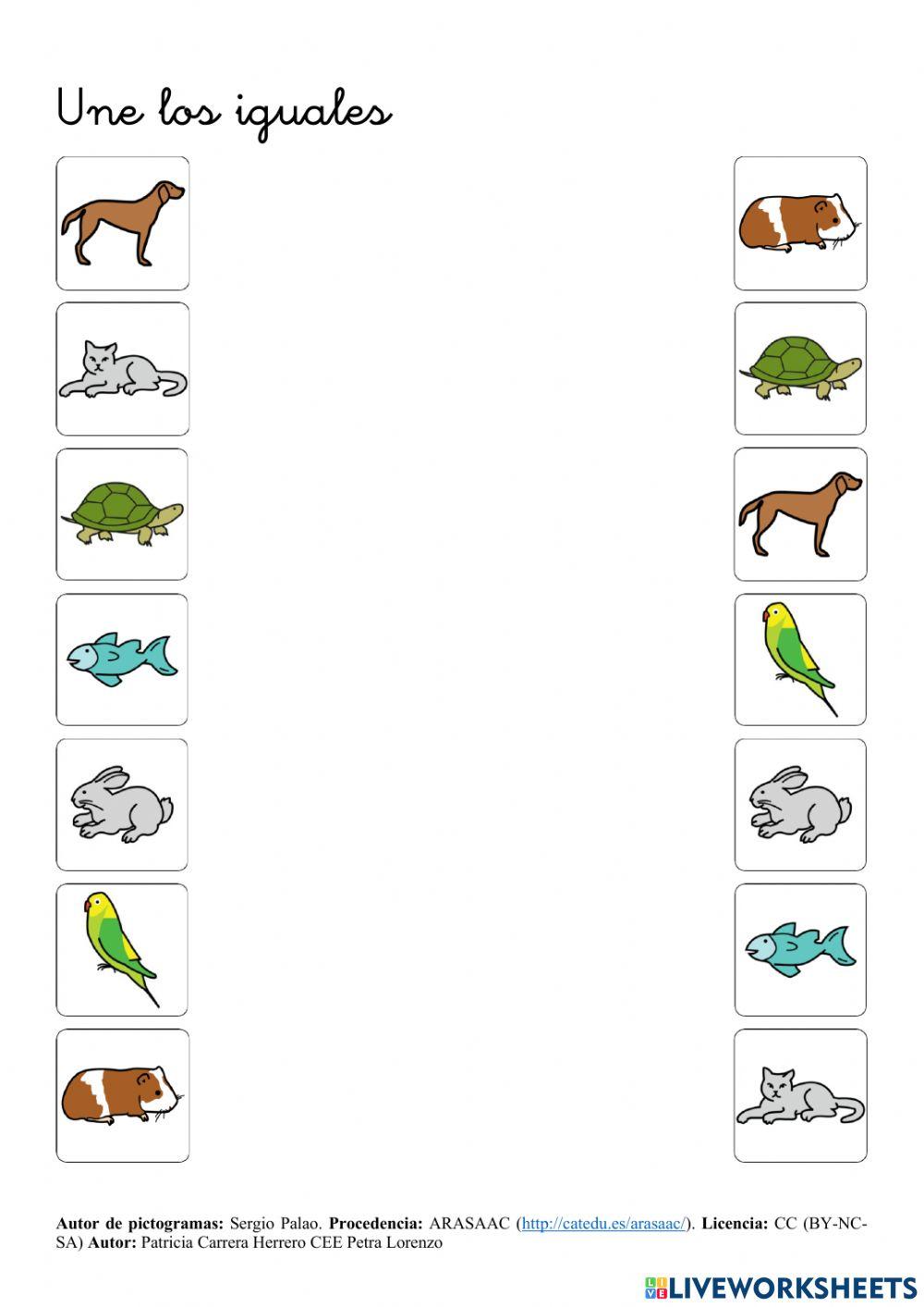 SA Animales. Iguales