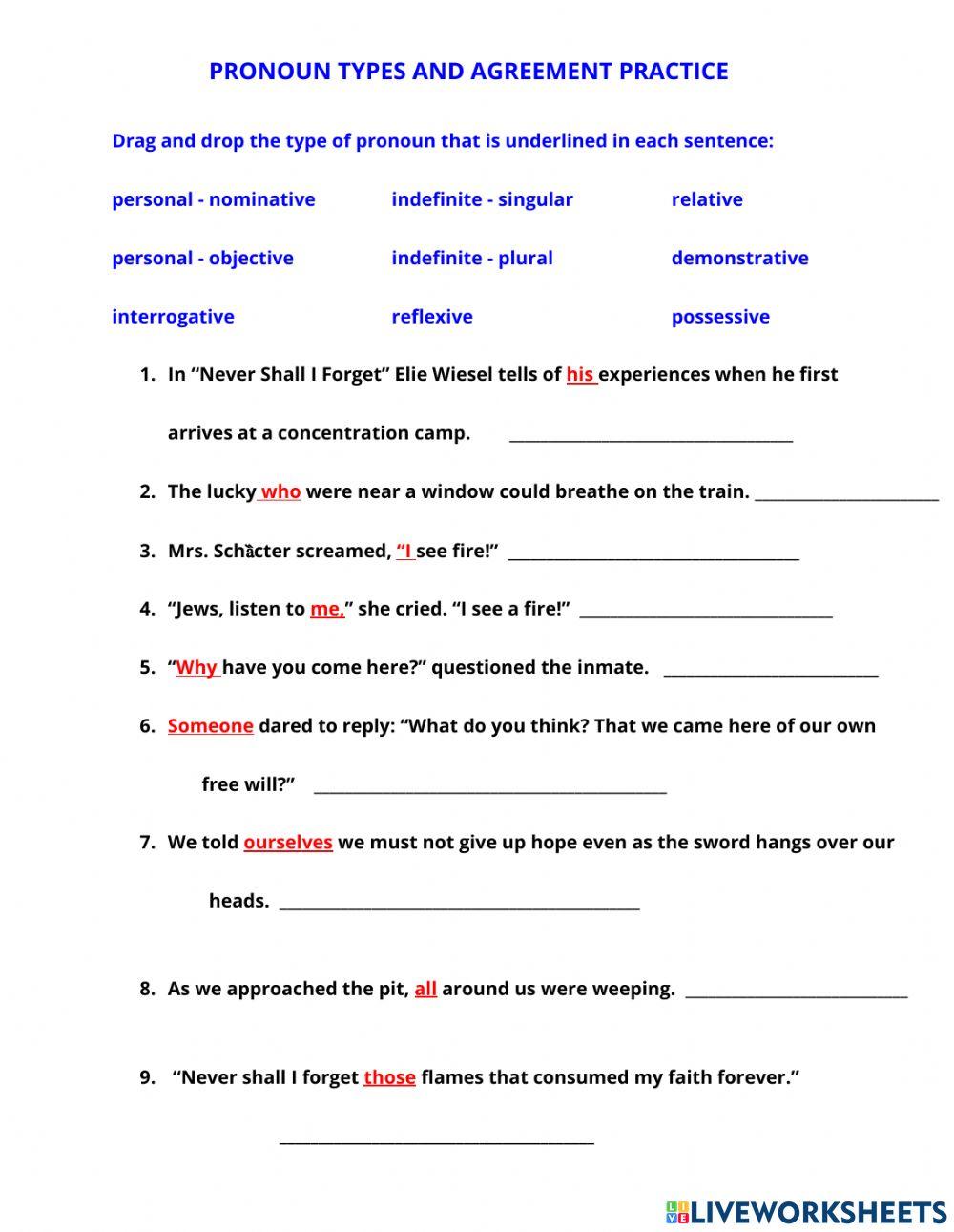 Drag and Drop Types of Pronouns