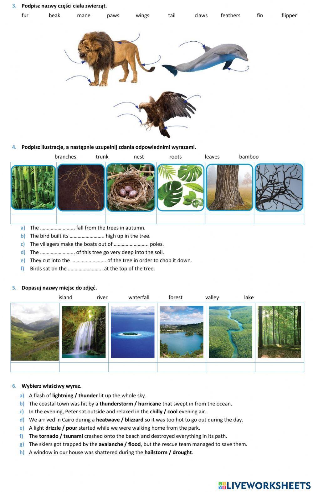 E8 U13 Świat przyrody Vocabulary
