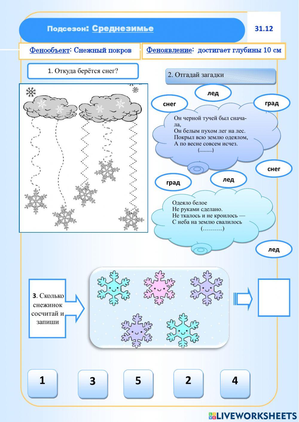 Фенология.Зима.Снежный покров