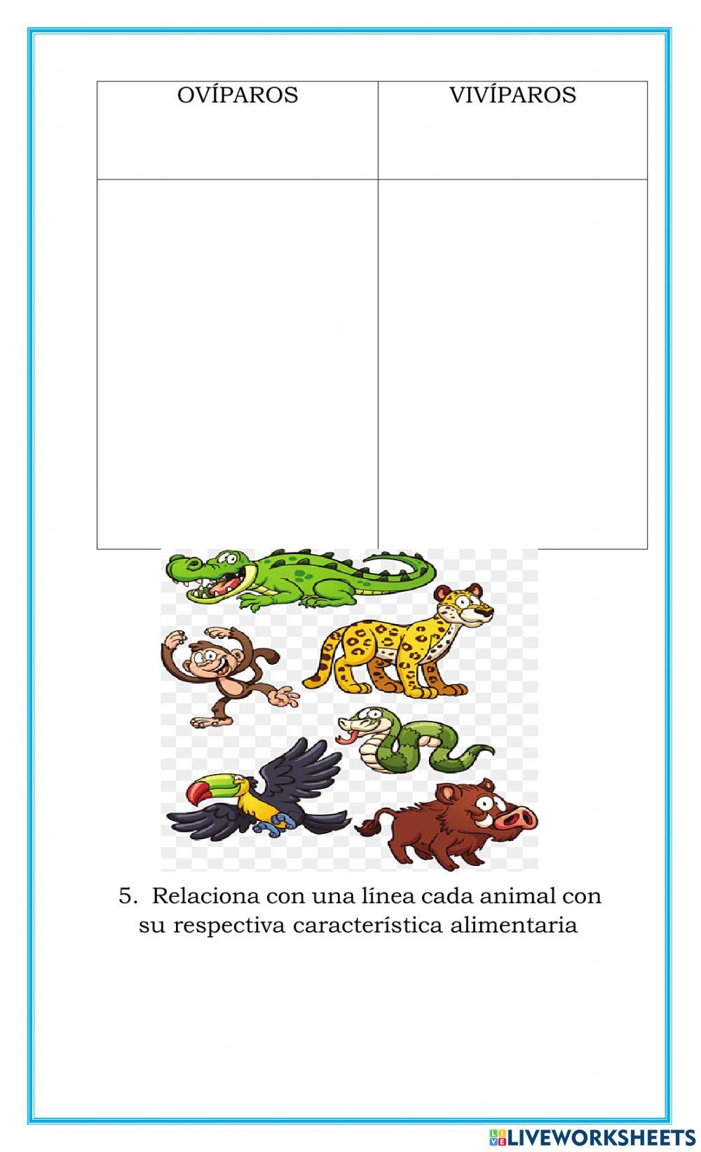 Reproducciòn y alimentacion los animales