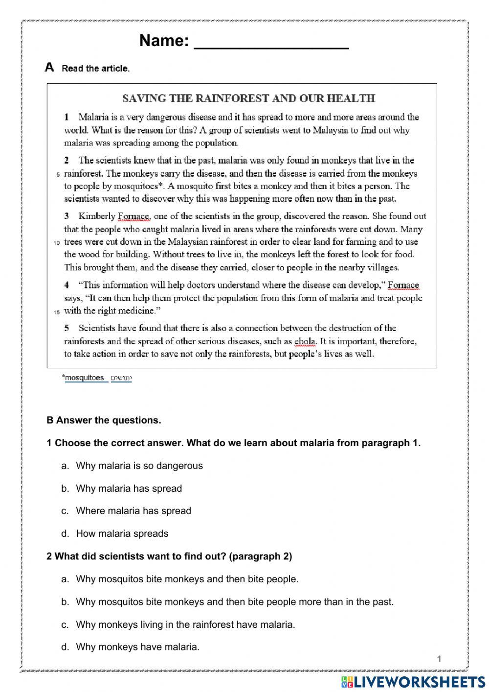 Unseen - The Rainforest