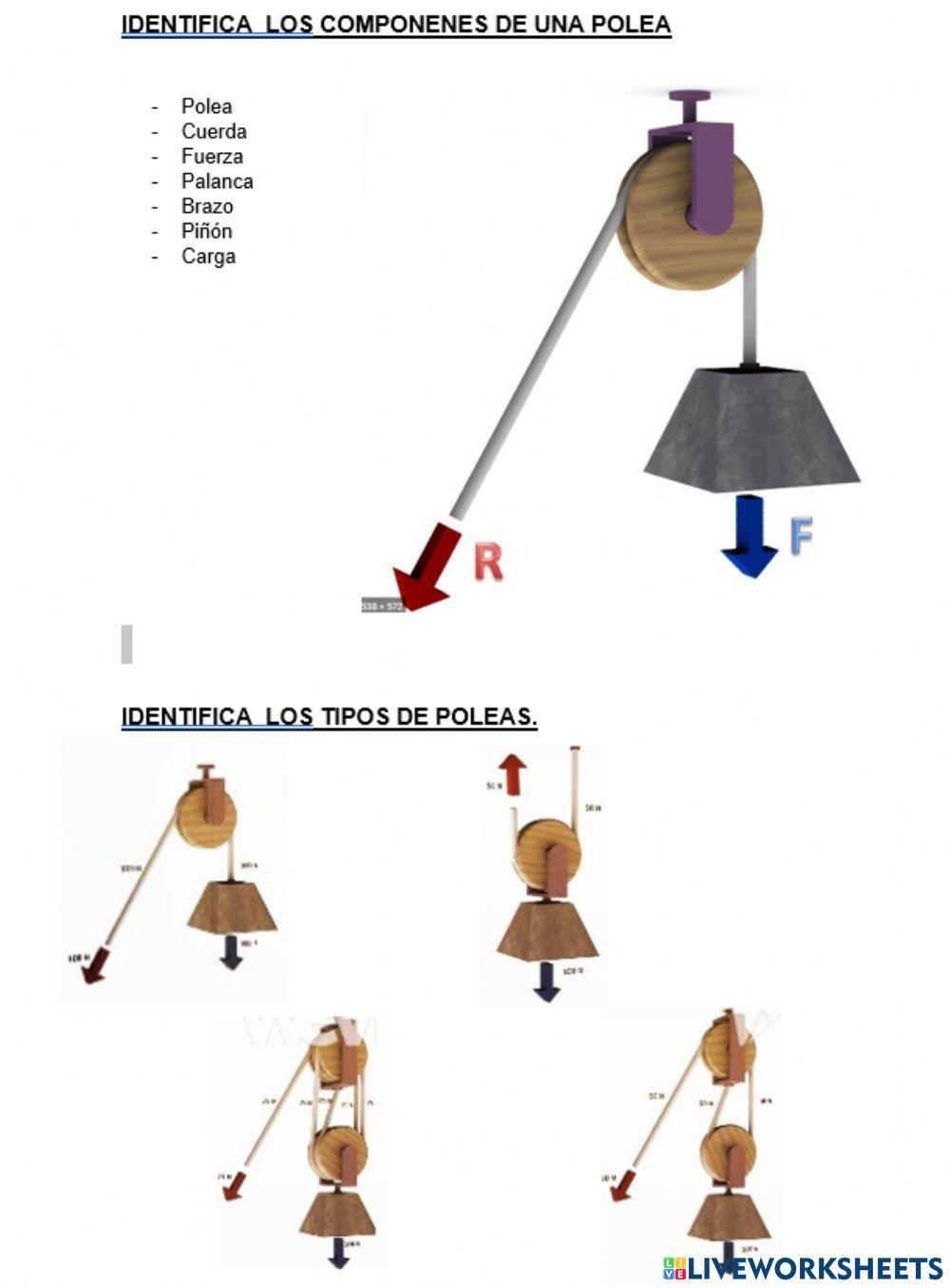 Mecanismos. La polea