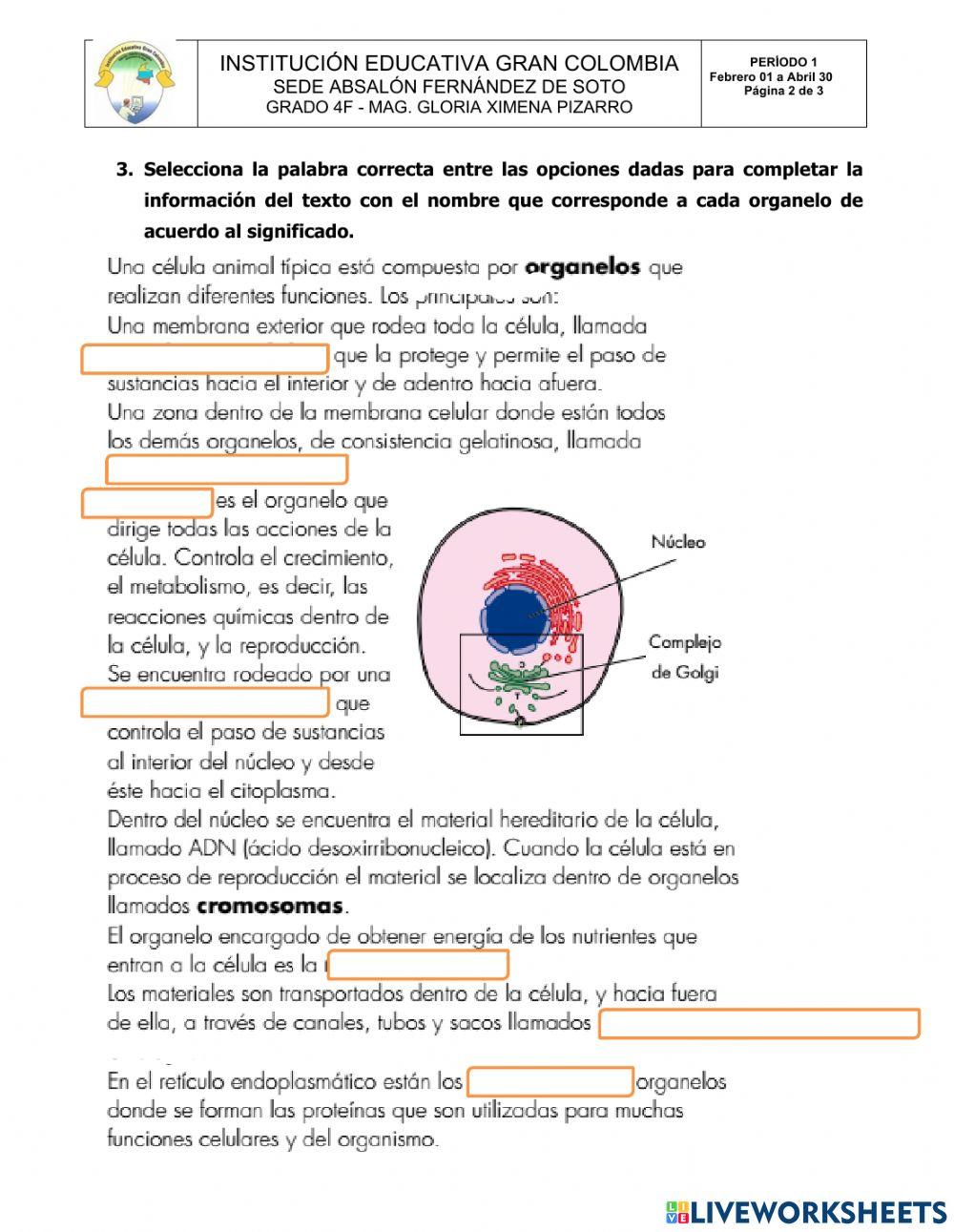 CIENCIAS NATURALES GRADO 4F PRUEBA 1
