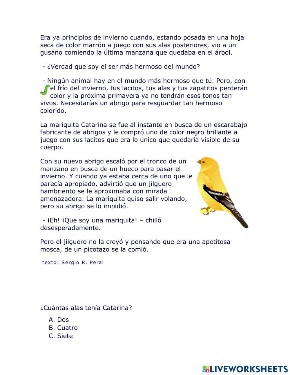 La mariquita Catarina