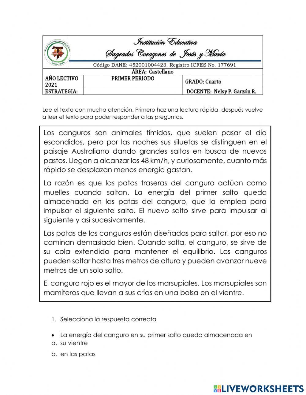 Actividad de Castellano