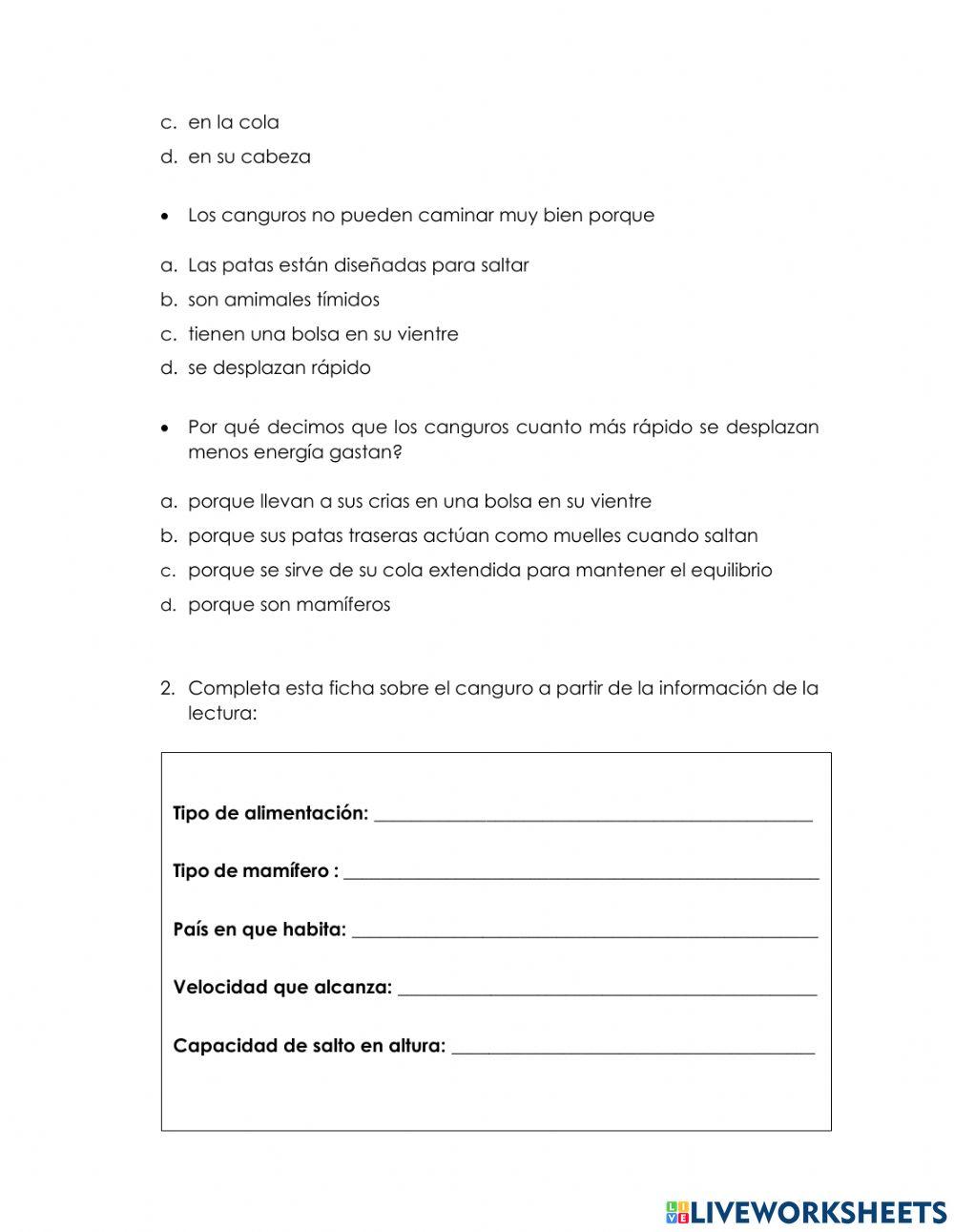 Actividad de Castellano