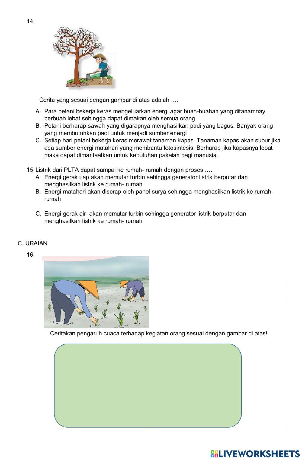 PTS Indonesia tema 5-6