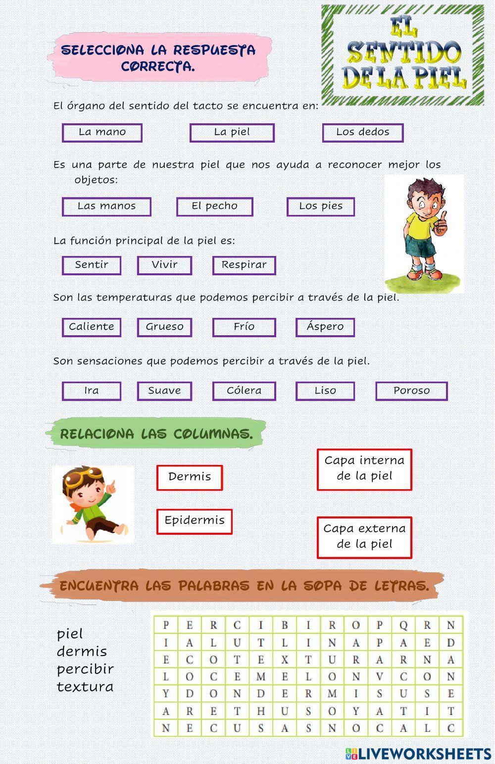 El sentido del tacto