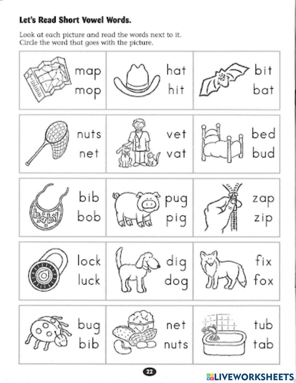 Read short vowel words