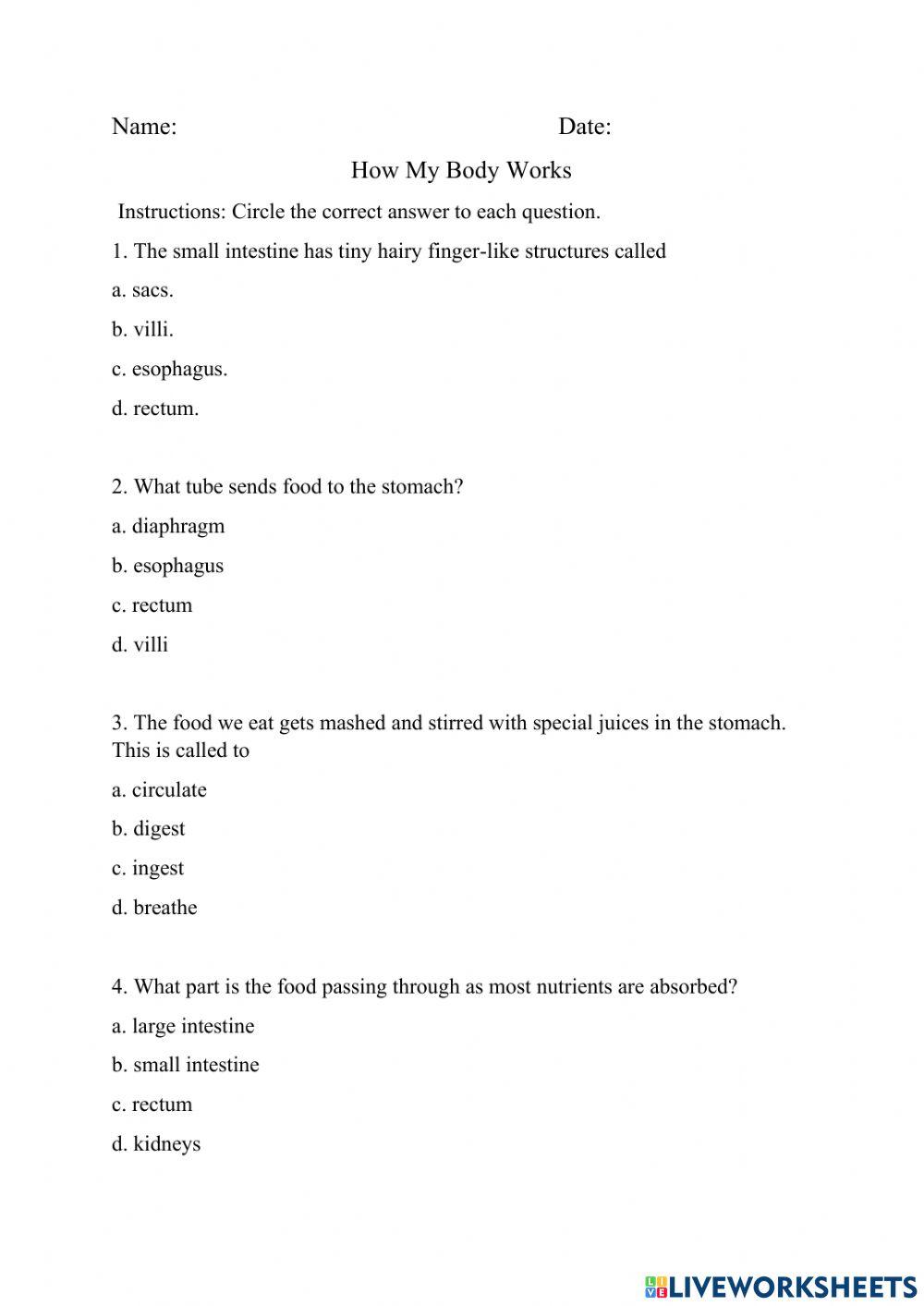 Absorption in Digestion 