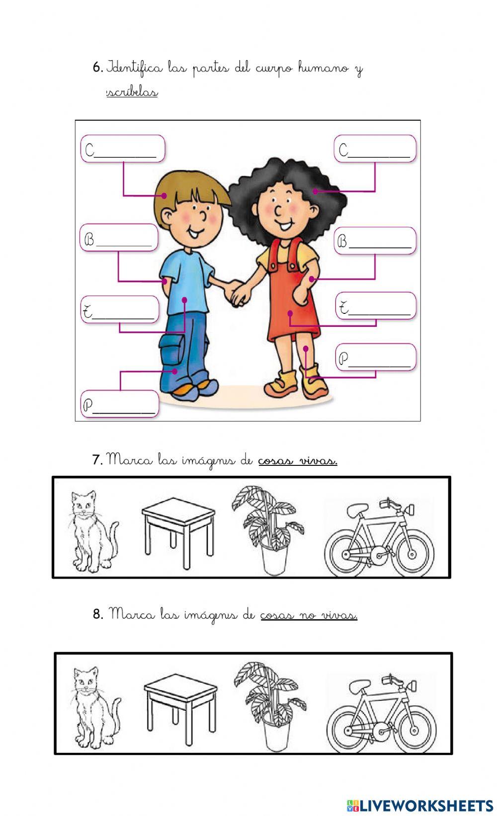 Evaluación diágnostica ciencias