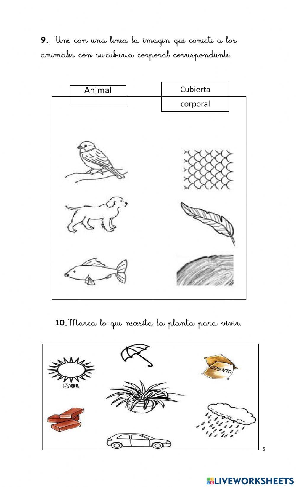 Evaluación diágnostica ciencias