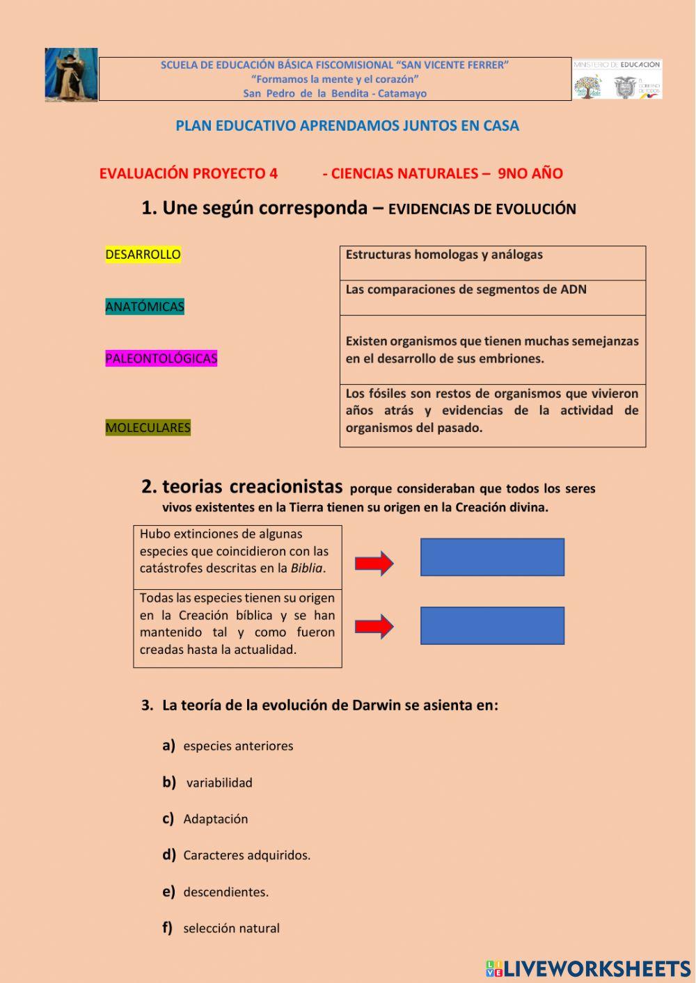 Autoevaluación proyecto 4