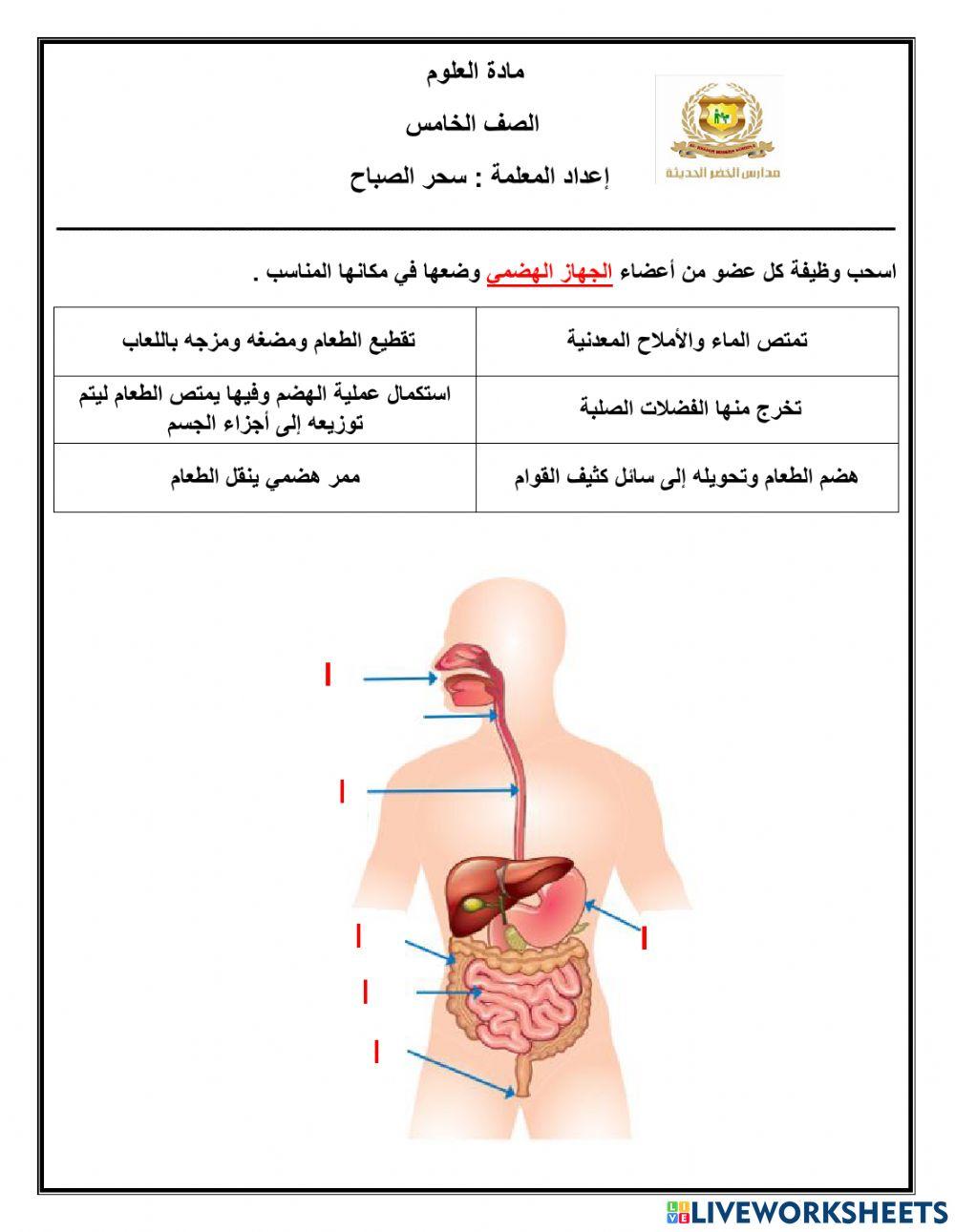 اسئلة متنوعة عن أجهزة الجسم