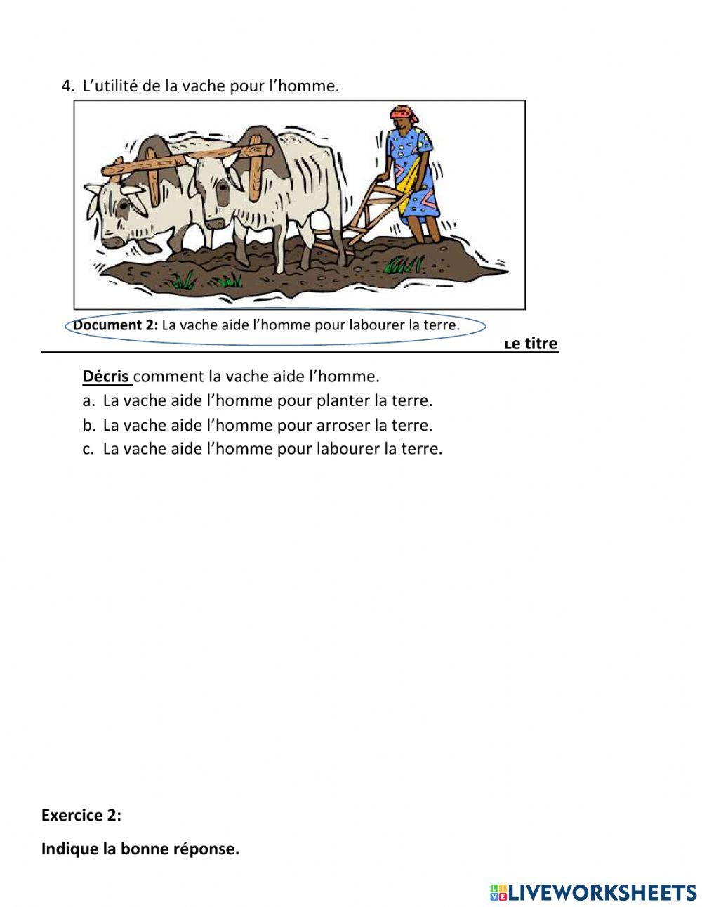 Les utilités des animaux