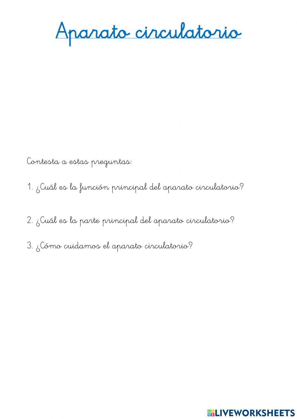 Aparato circulatorio