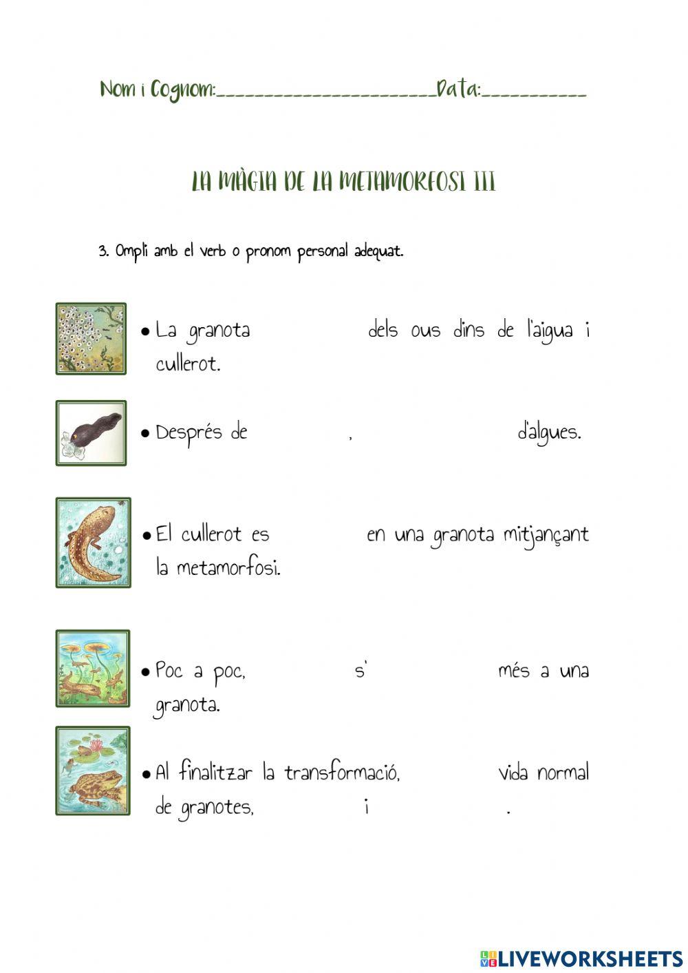 Pronoms personals, verbs