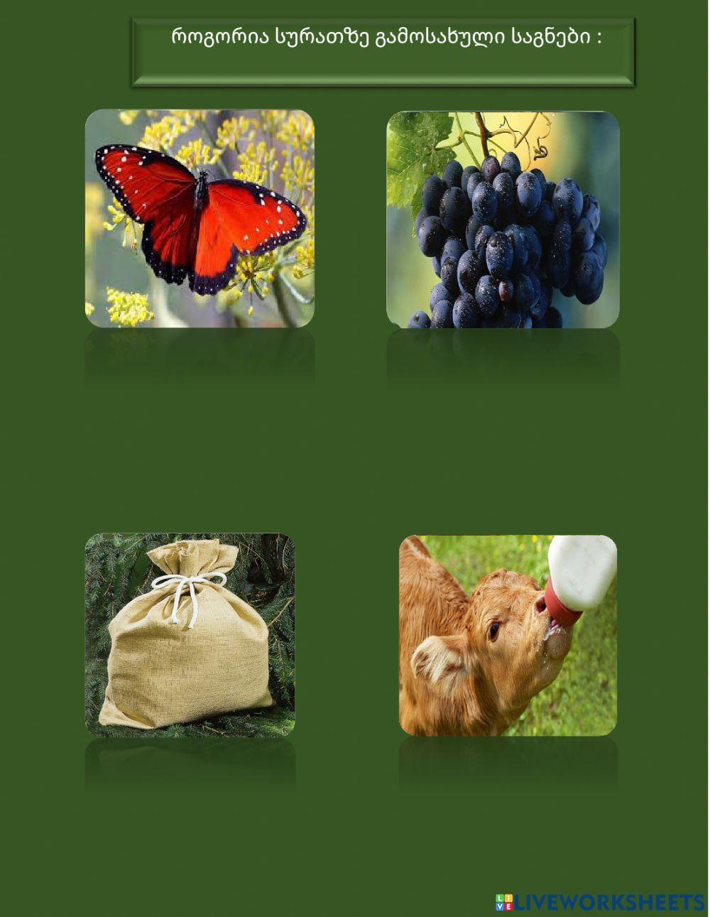 Თანხმოვანფუძიანი და ხმოვანფუძიანი სახელები